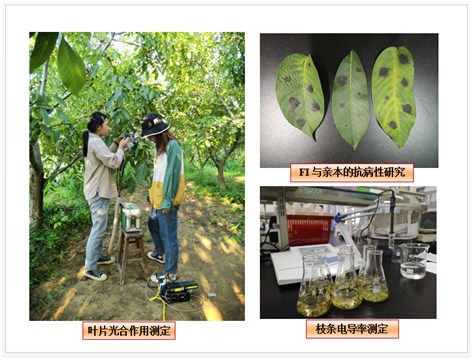 1c8460c0edb54a1a8bf0b6501e77526a.png image.png