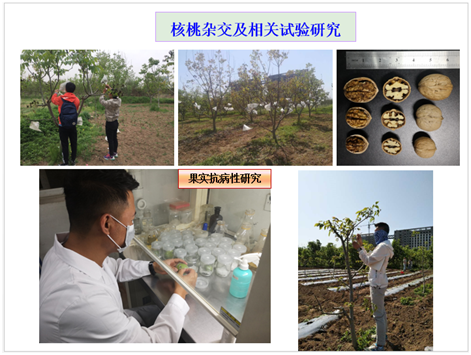 264fb1a4a5bc4bd293dc83ef874748e4.png image.png