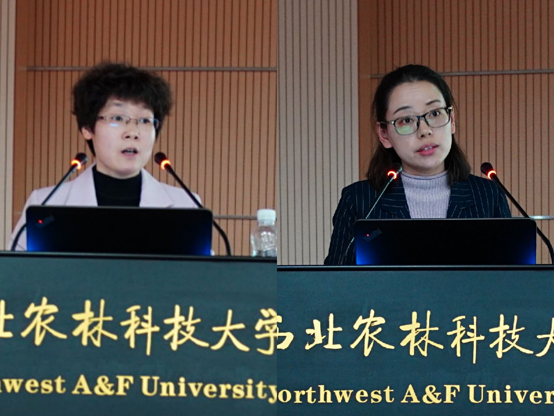 32419dbc533b474ab4bb44f6aa5fec9a.jpg 32419dbc533b474ab4bb44f6aa5fec9a.jpg