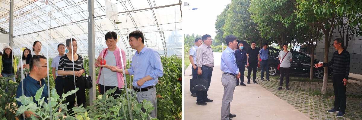 dfcda16c91c04343a25fd54035cc5d4d.jpg dfcda16c91c04343a25fd54035cc5d4d.jpg